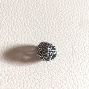 ⭐RARE⭐Discontinued Pandora charm
